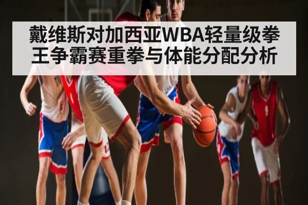 戴维斯对加西亚WBA轻量级拳王争霸赛重拳与体能分配分析